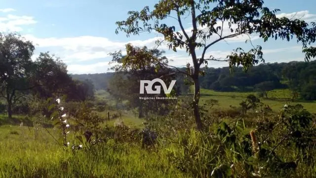 Imagem 11
