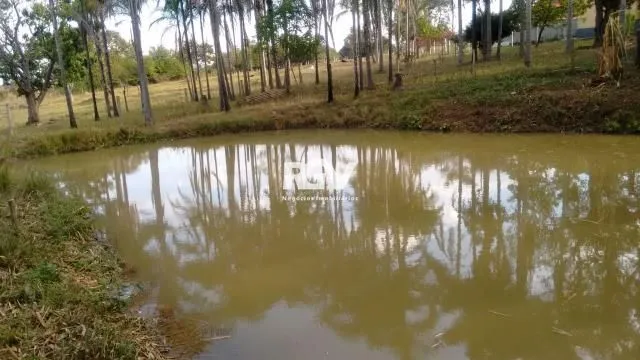 Imagem 4