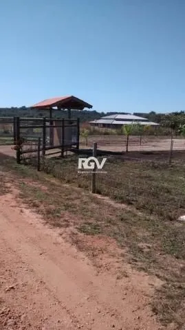 Imagem 5