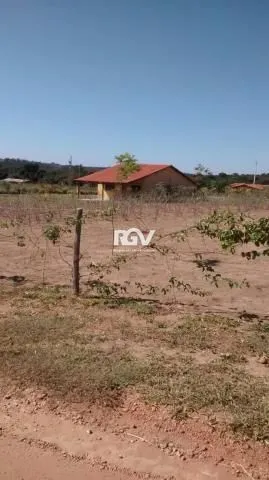 Imagem 10