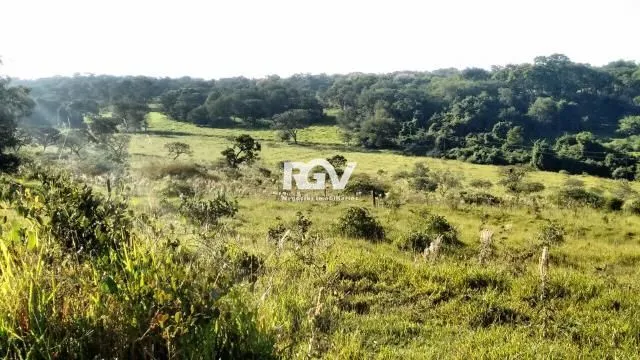 Imagem 8