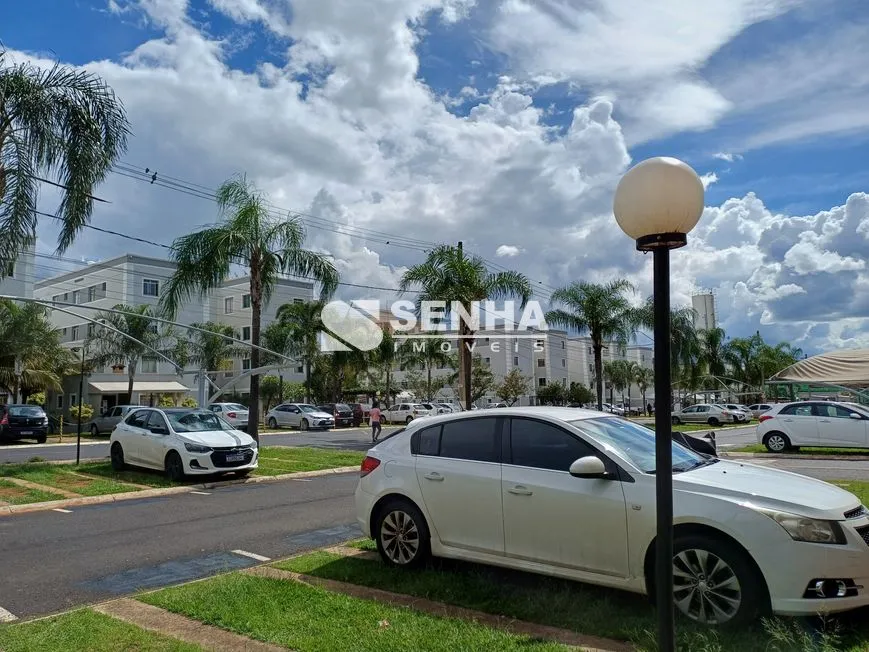 Imagem 26