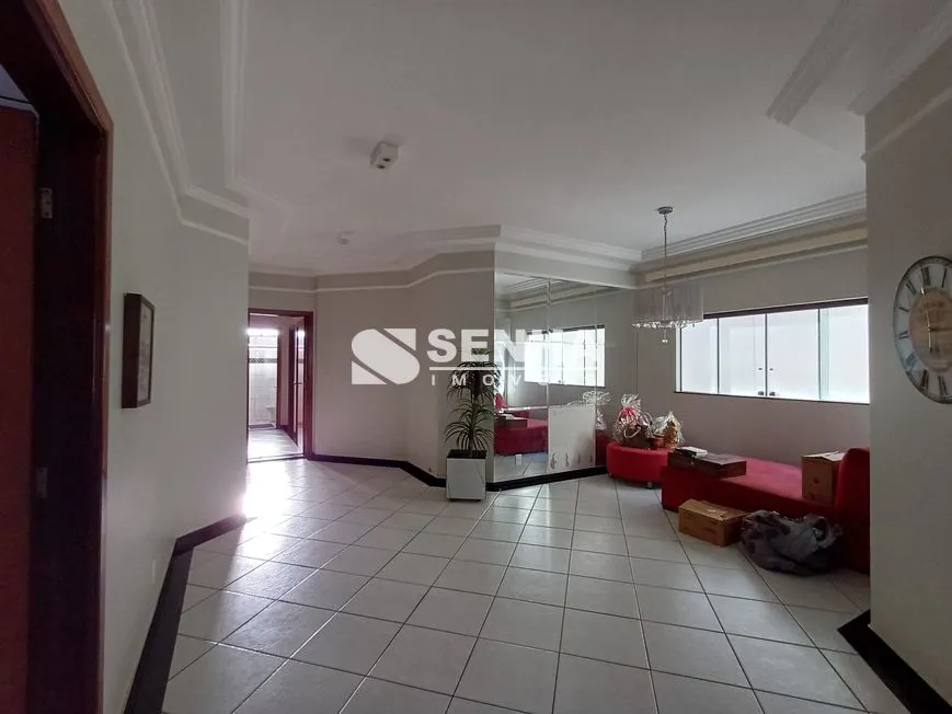 Imagem 16