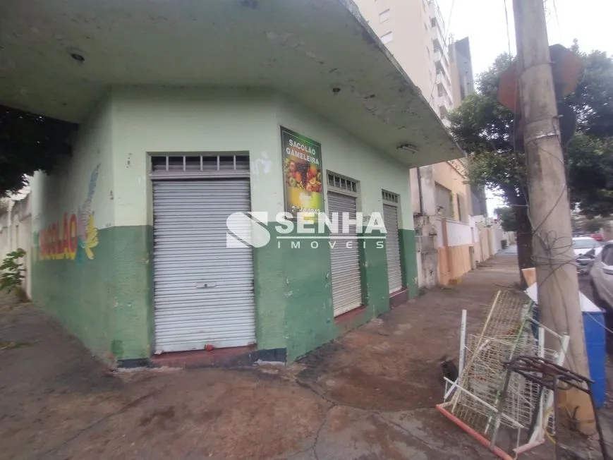 Imagem 5