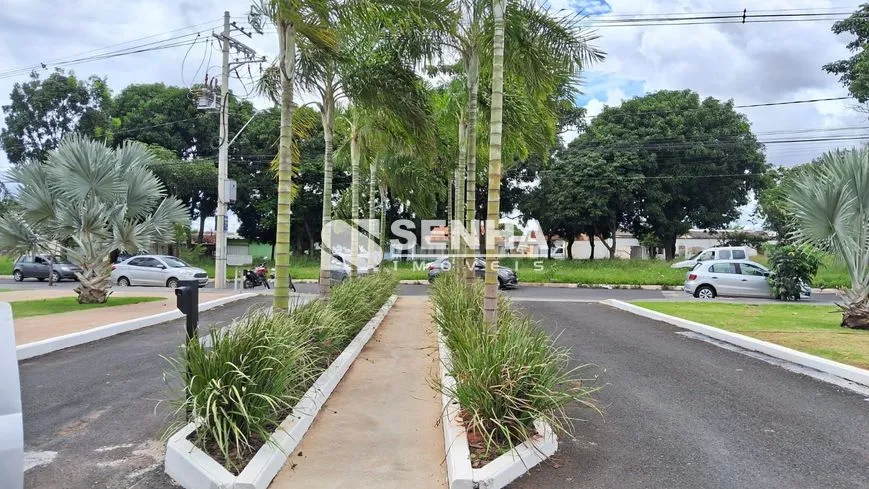 Imagem 11