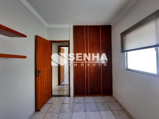 Imagem 12