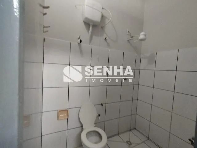 Imagem 3