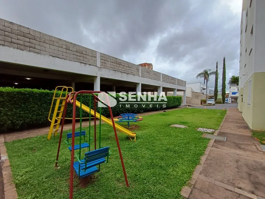 Imagem 5
