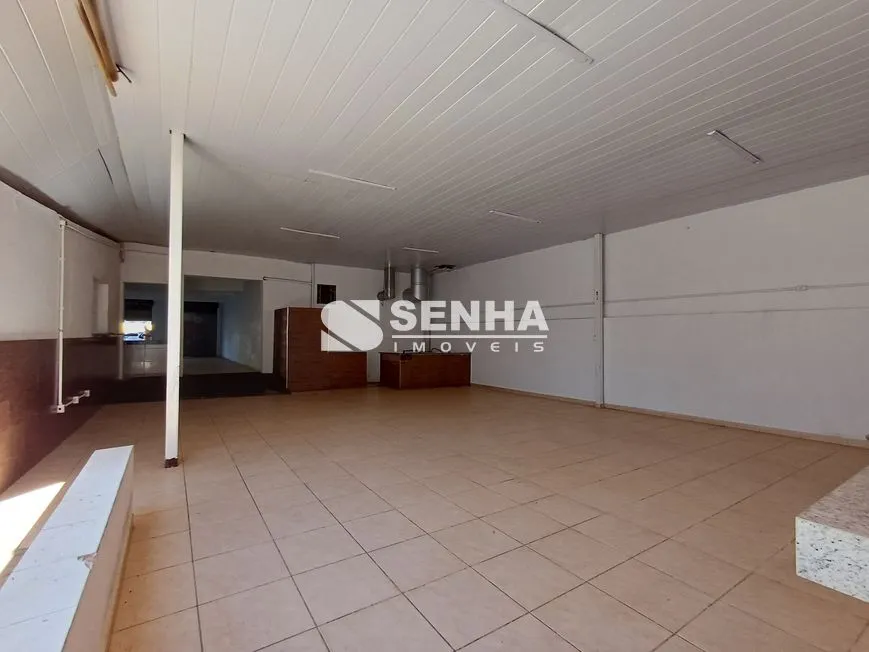 Imagem 15