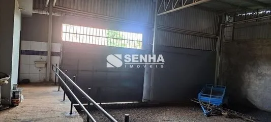 Galpão para alugar no Lagoinha imagem 1