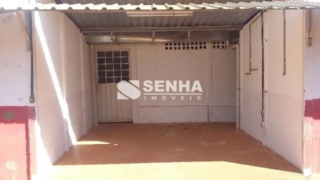 Imagem 6
