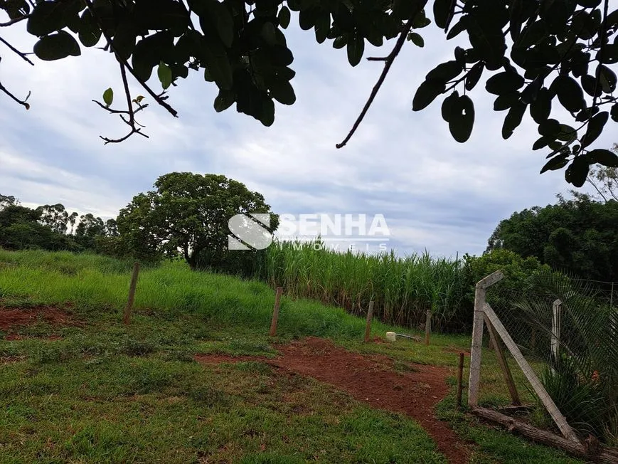 Imagem 4