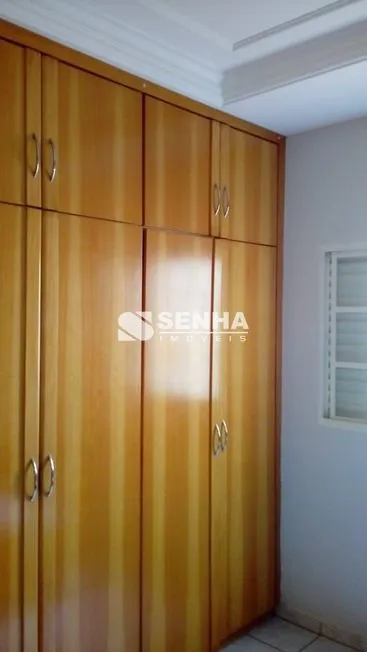 Imagem 13