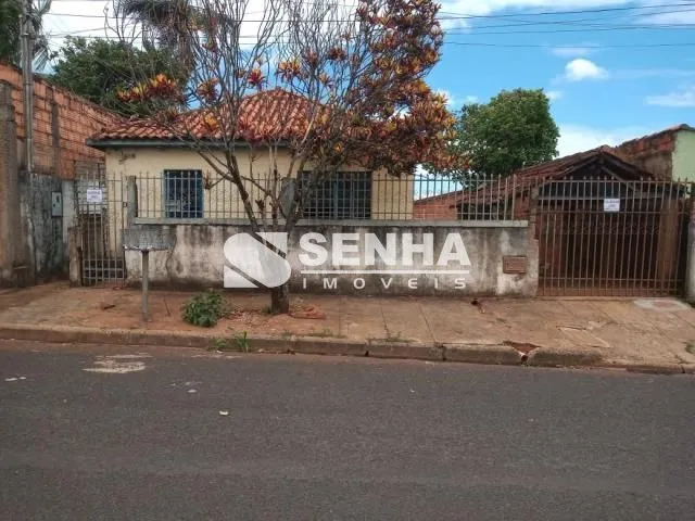 Imagem 9