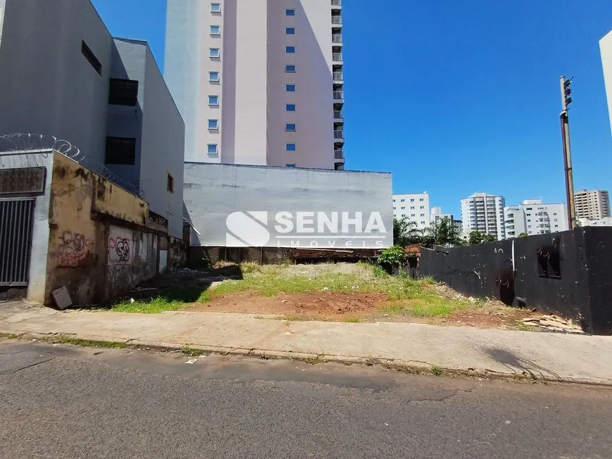 Imagem 3