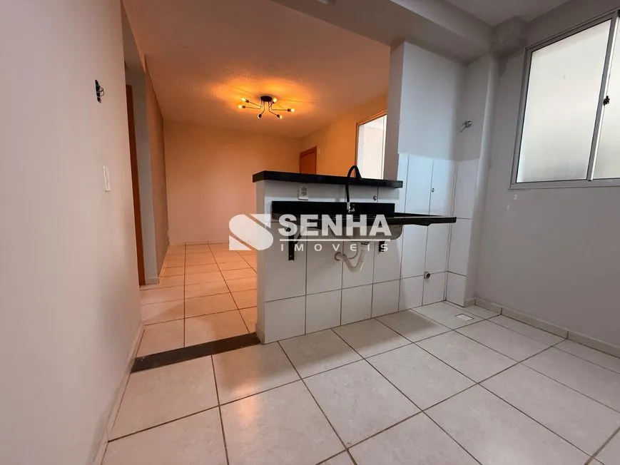 Imagem 3