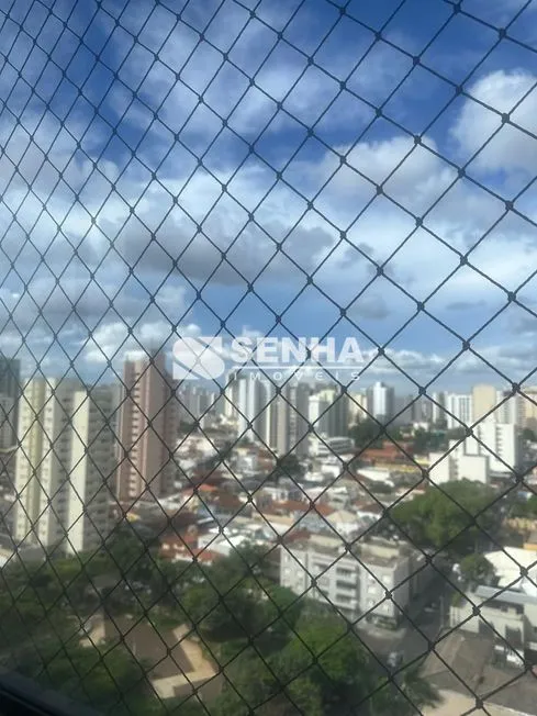 Imagem 8