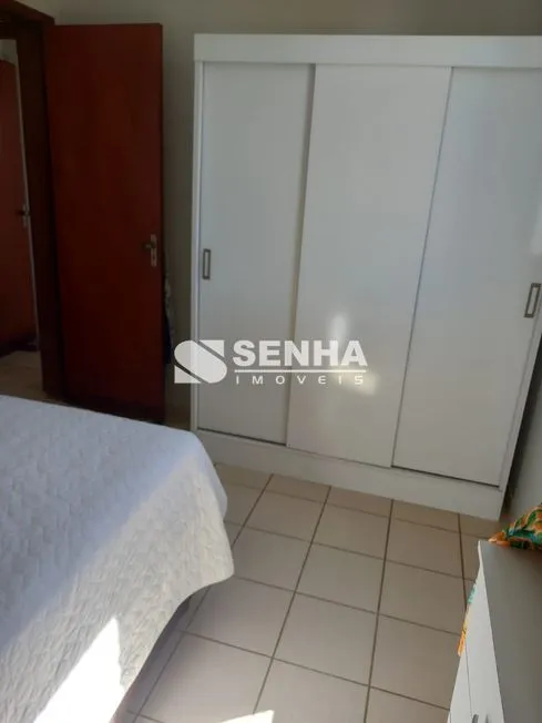 Imagem 5