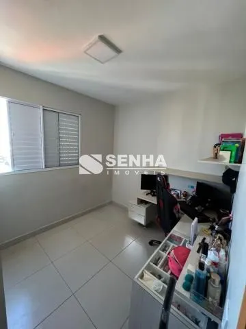 Imagem 12