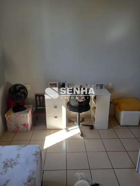 Imagem 7