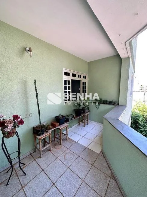 Imagem 5