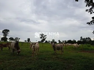 Sítio para vender no Carajas Iii E Iv imagem 1