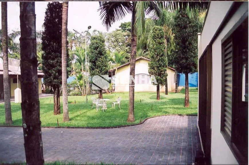 Imagem 11