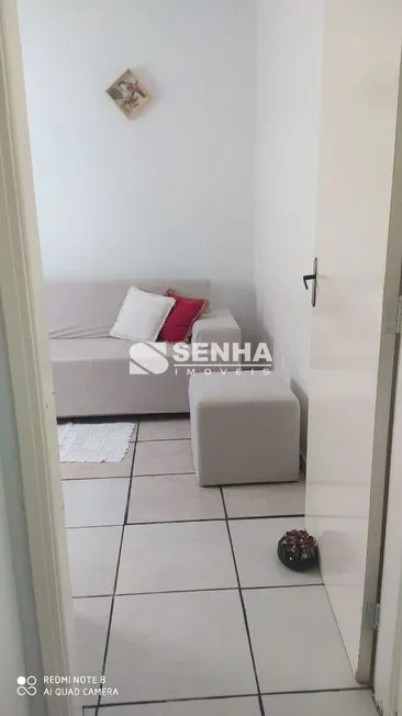 Imagem 7