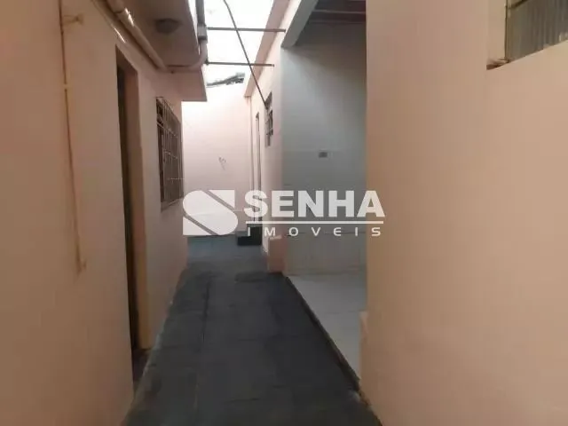 Imagem 20
