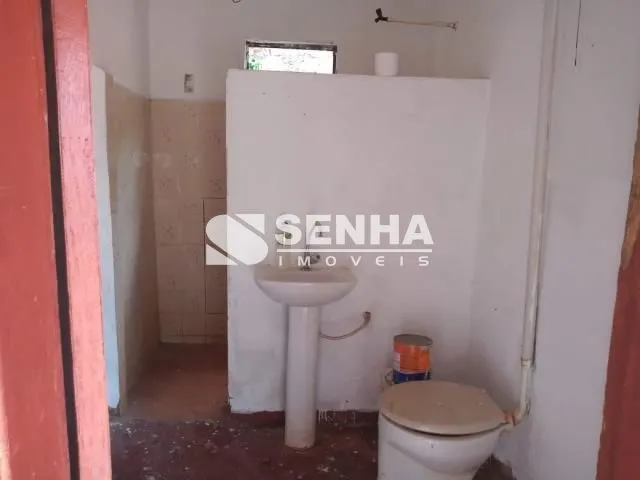 Imagem 4