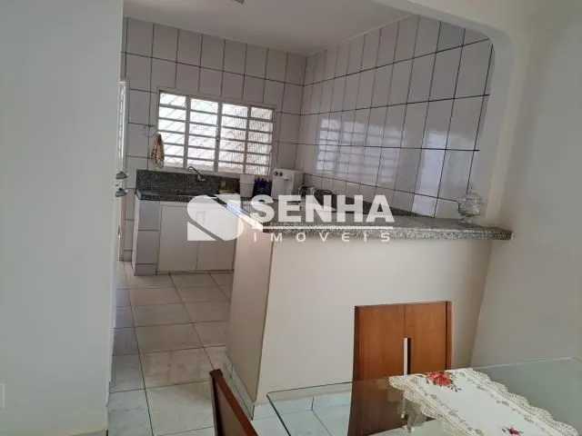 Imagem 7