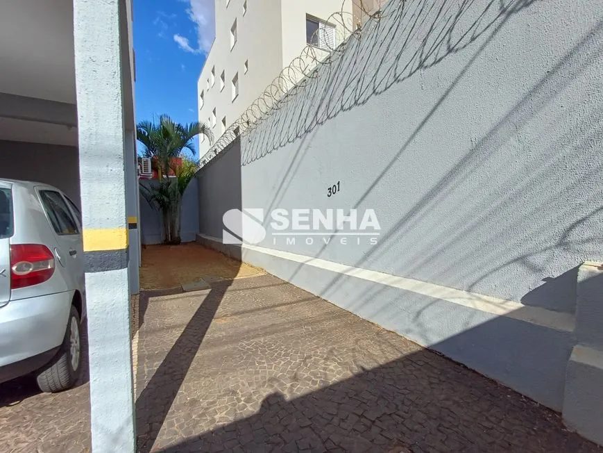 Imagem 2