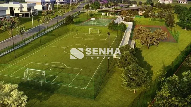 Imagem 11