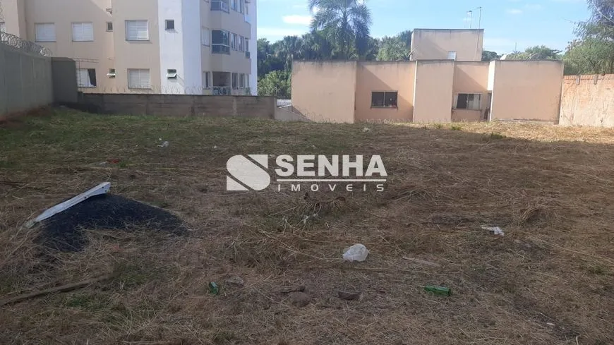 Imagem 4
