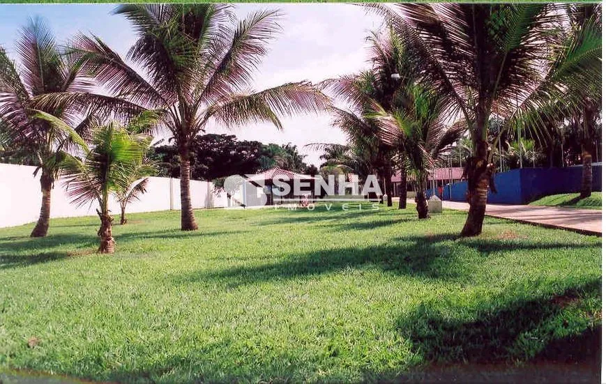 Imagem 8