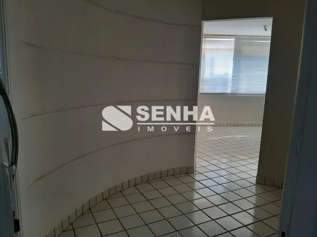 Imagem 6