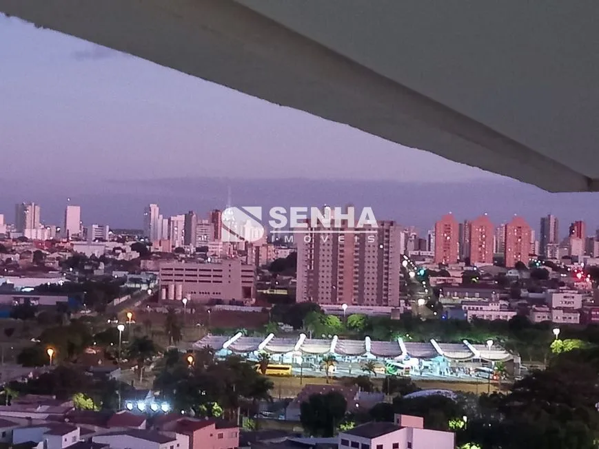 Imagem 15