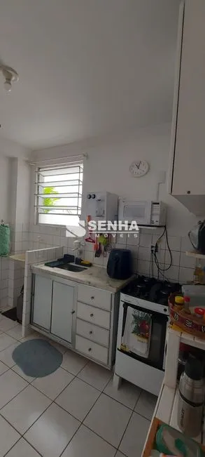 Imagem 11