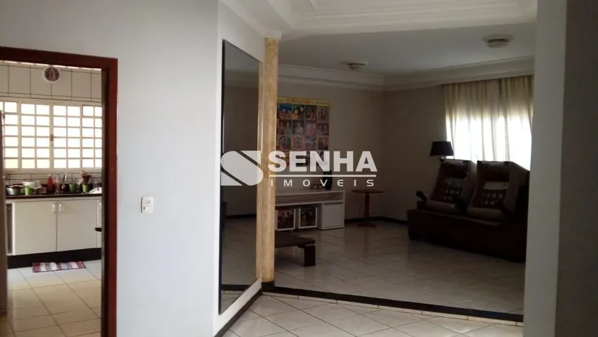Imagem 10
