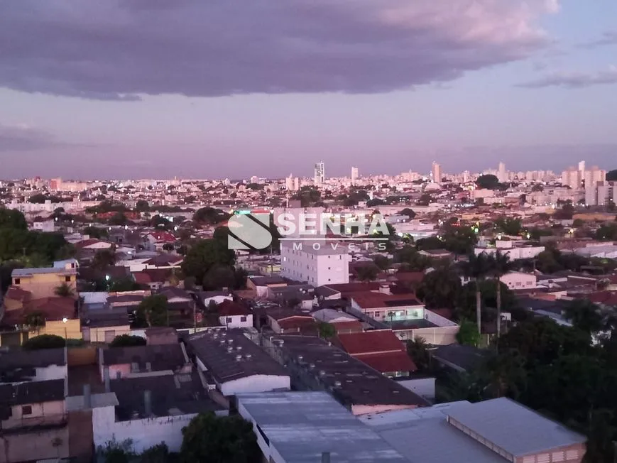 Imagem 16