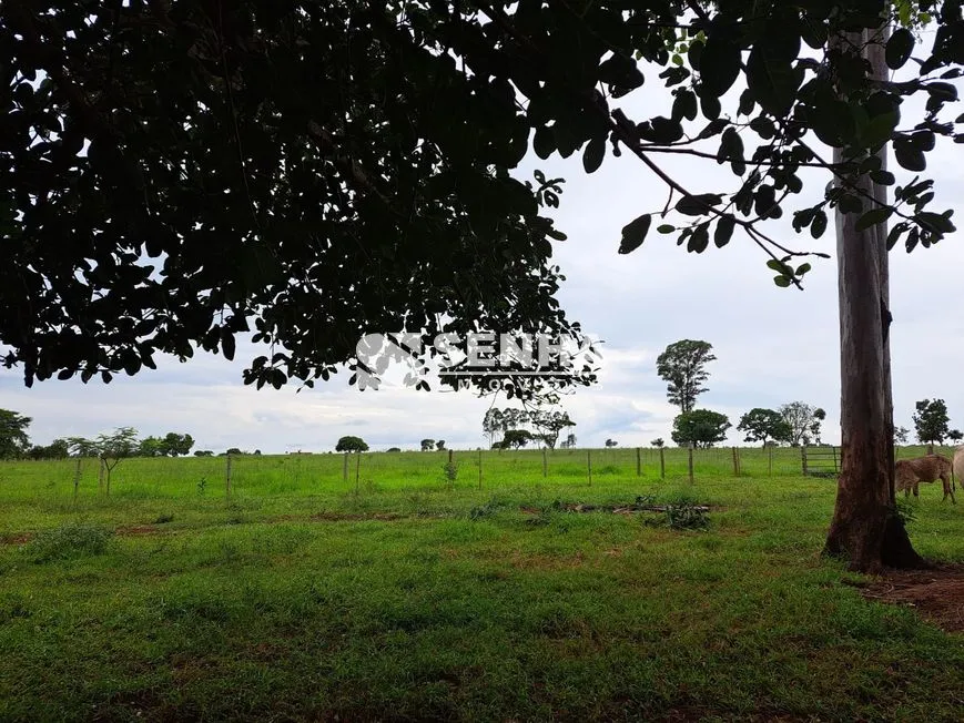 Imagem 3