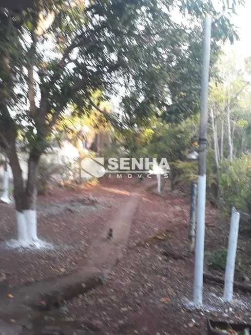 Imagem 9