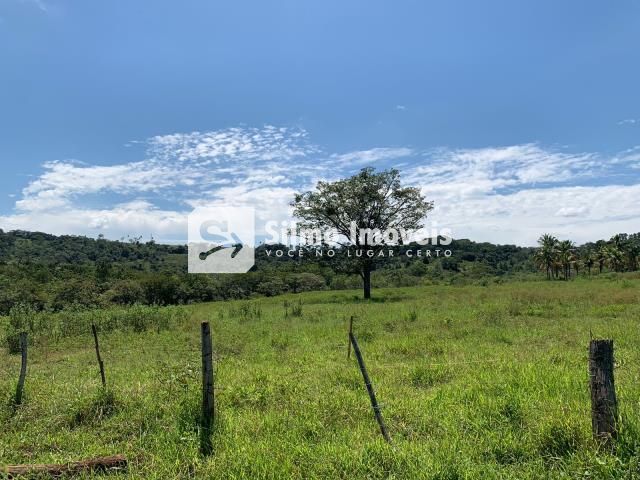 Fazenda_Venda