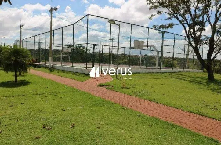 Imagem 3