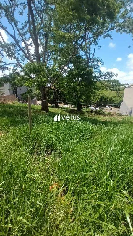 Imagem 4