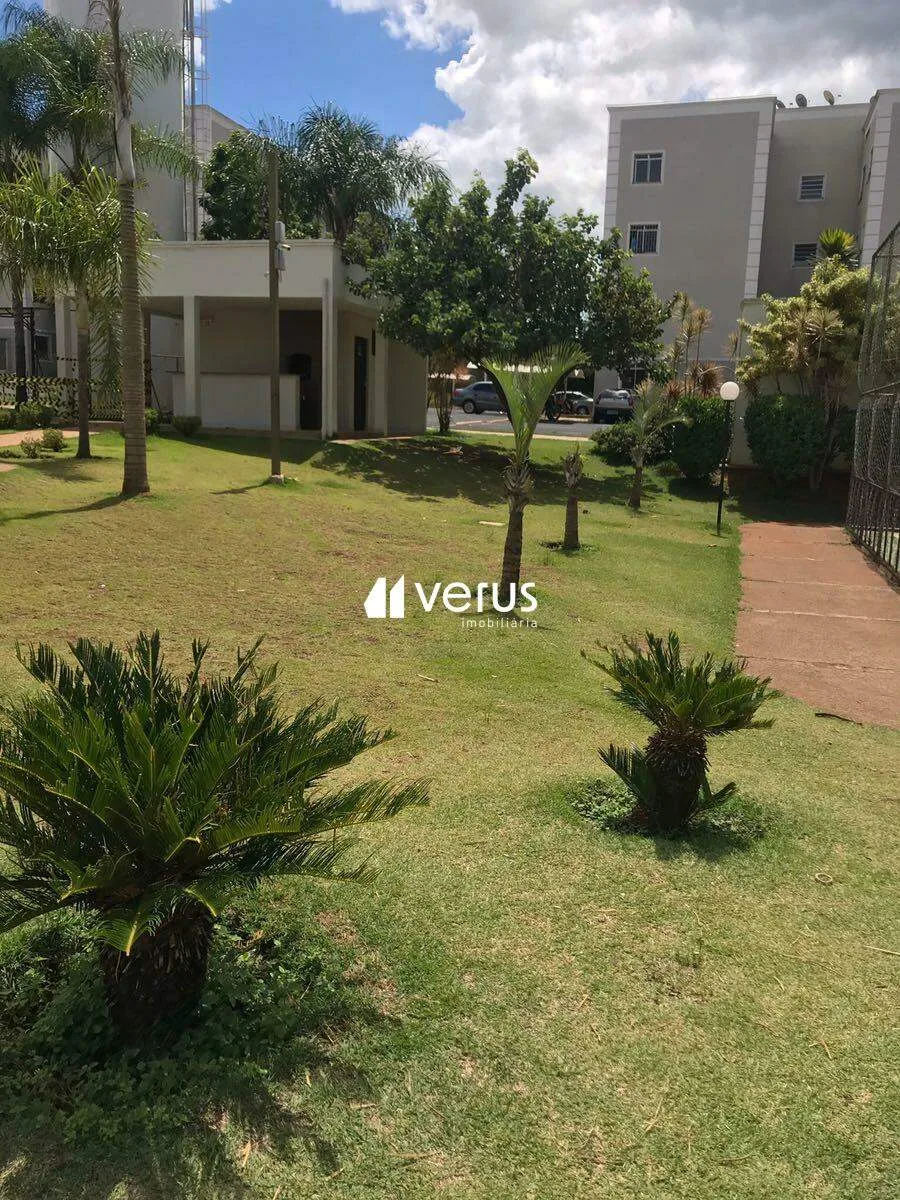 Imagem 13