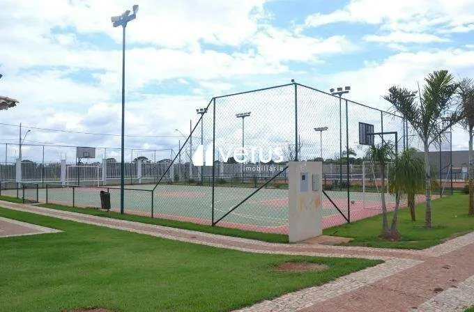 Imagem 9