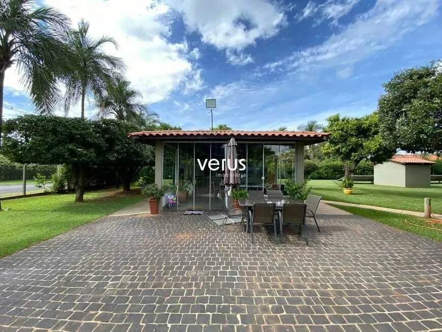 Imagem 7