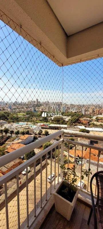 Imagem 5