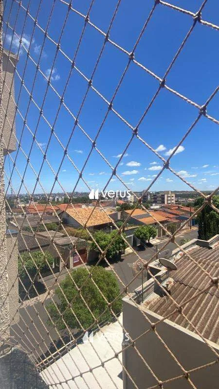 Imagem 6